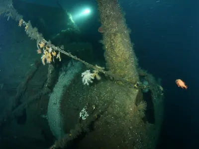 Divers observed the HMS Hawke&#39;s intact guns at the bottom of the North Sea.