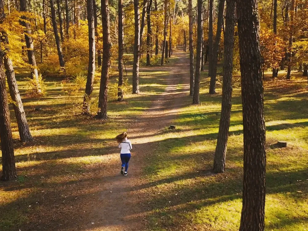 Preview thumbnail for video 'The Best Small Towns to Celebrate Fall