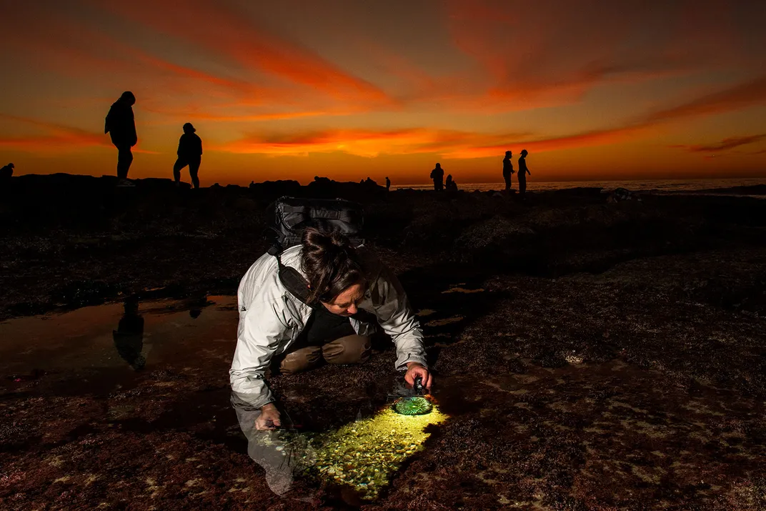 Jami Feldman in the Intertidal