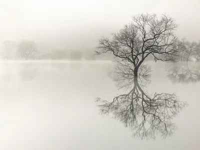 Partially submerged trees are reflected in the waters of a dam lake.