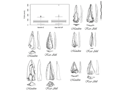 Flint points from Grotte Mandrin in France and Ksar Akil in Lebanon