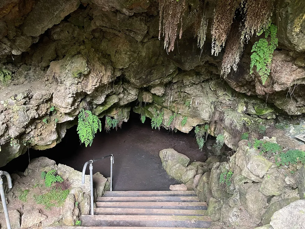 Auckland Cave Opening