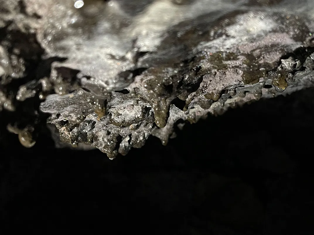 Auckland Cave Ceiling