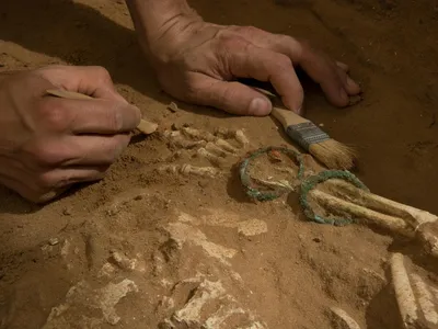 Excavation of the Philistine cemetery at Ashkelon.