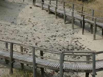 he famous “Catwalk Site," one of the open air displays at the National Museums of Kenya Olorgesailie site museum, which is littered with ~900,000 year old handaxes.