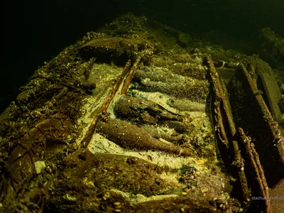 Tomasz Stachura, one of the divers who found the wreck, saw bubbles inside some of the Champagne bottles.