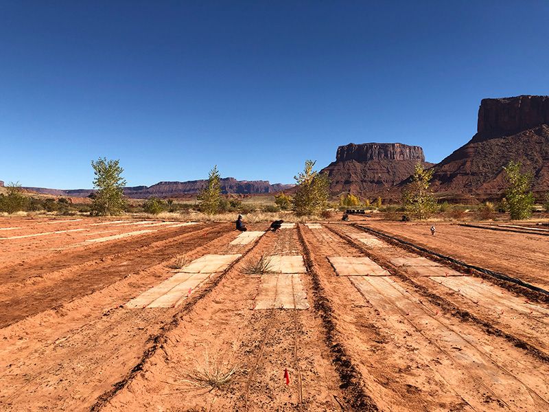 Biocrust Nursery